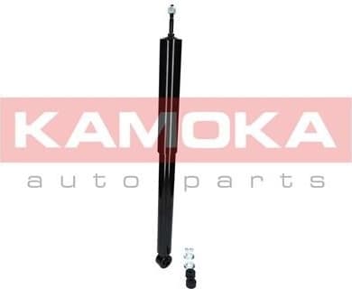 Shock Absorber 2000819