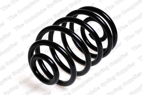 Suspension Spring 4244201