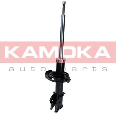 Shock Absorber 2000403