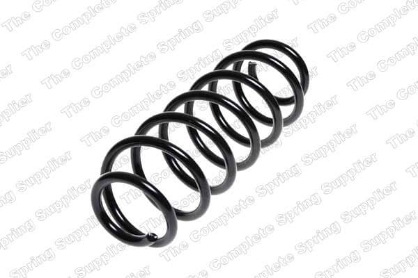 Suspension Spring 4204247