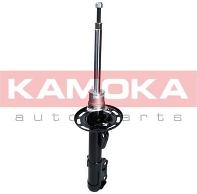 Shock absorber front 2000149