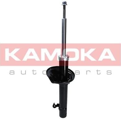 Shock Absorber 2000280