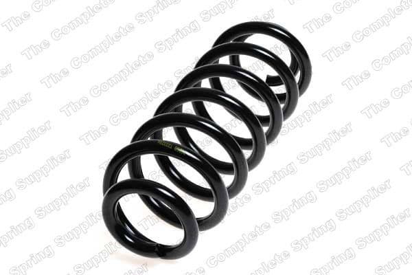 Suspension Spring 4204256