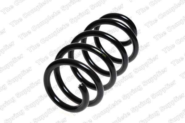 Suspension Spring 4217002