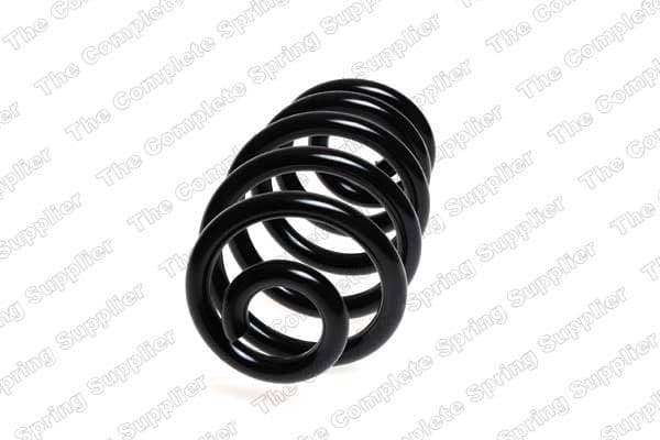 Suspension Spring 4204258