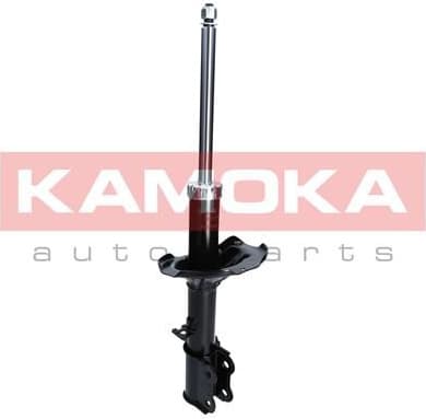 Shock Absorber 2000195