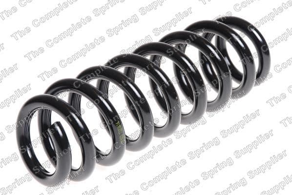 Suspension Spring 4208471