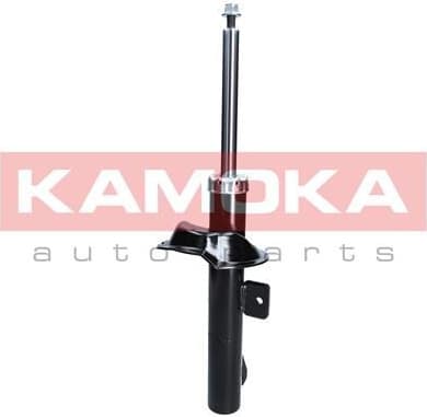 Shock Absorber 2000387