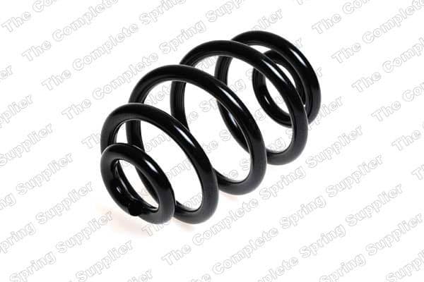 Suspension Spring 4208424