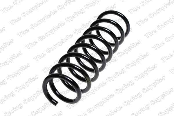 Suspension Spring 4208449