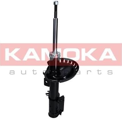Shock absorber front 2000524