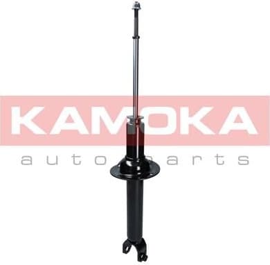 Shock Absorber 2000622