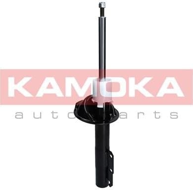 Shock Absorber 2000223