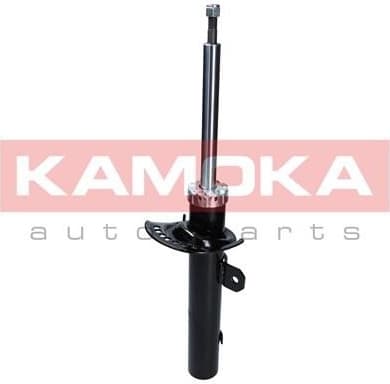 Shock Absorber 2000300