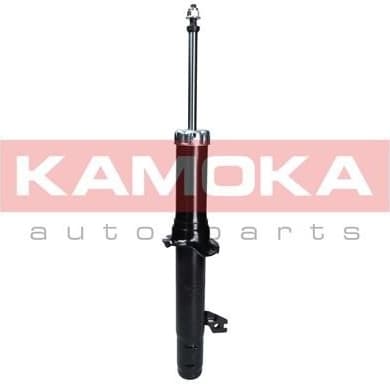 Shock absorber front 2000717