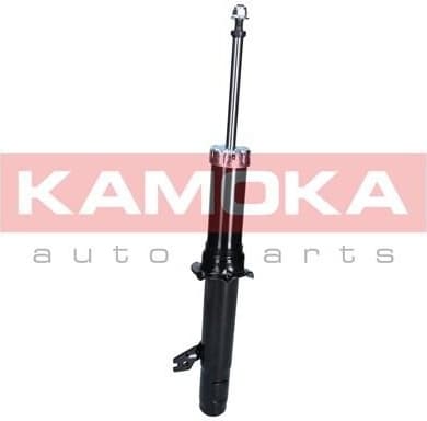 Shock absorber front 2000718