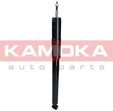 Shock absorber rear 2001028