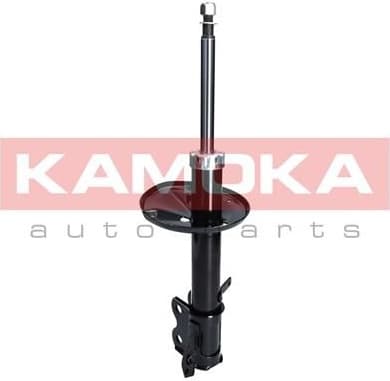 Shock Absorber 2000233