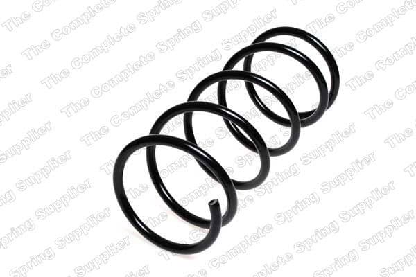 Suspension Spring 4255404