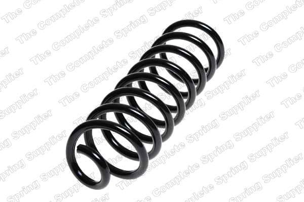 Suspension Spring 4217000