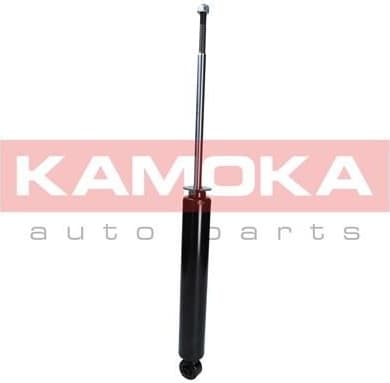 Shock Absorber 2000949