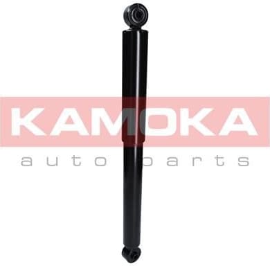 Shock Absorber 2000954