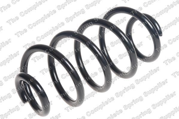 Suspension Spring 4262070