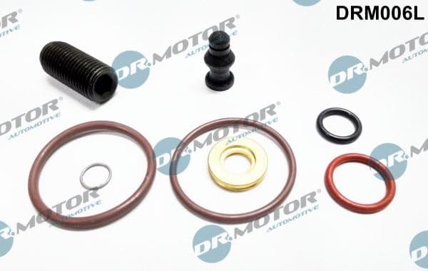 Repair Kit, unit injector DRM006L