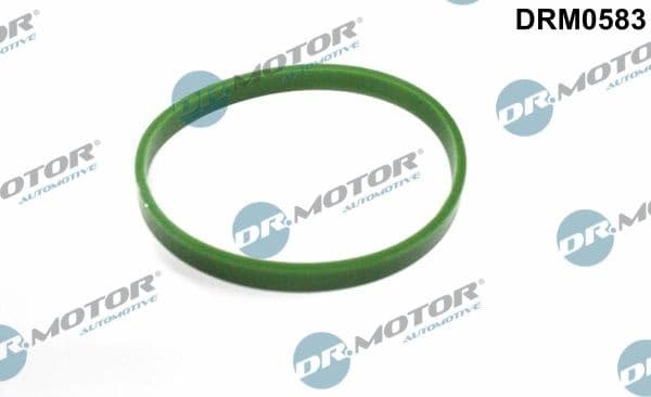 Seal Ring, charger DRM0583