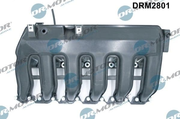 Intake Manifold Module DRM2801