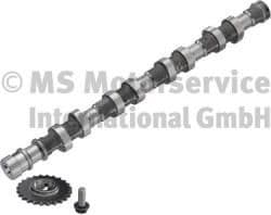 Camshaft 50007688