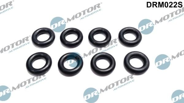 Seal Ring, injector DRM022S