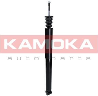 Shock Absorber 2000878