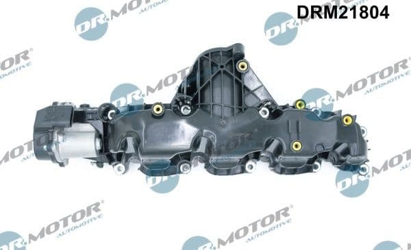 Intake Manifold Module DRM21804