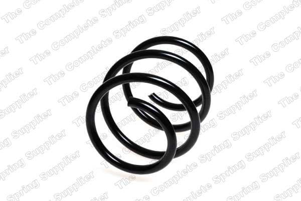 Suspension Spring 4058702