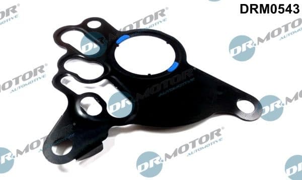 Gasket, vacuum pump DRM0543