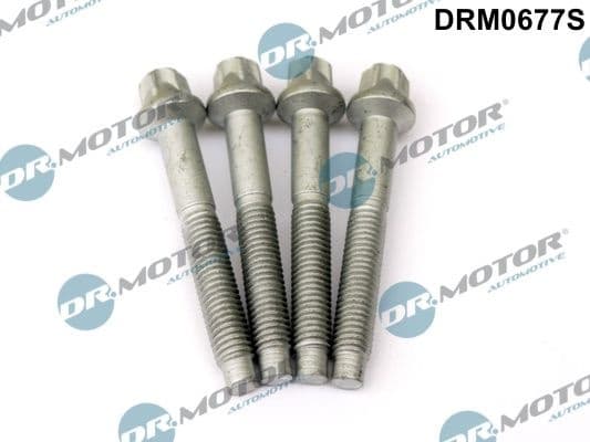 Bolt injector fitting DRM0677S
