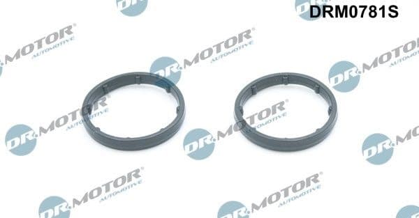 Gasket, oil cooler DRM0781S