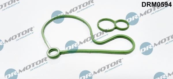 Gasket, vacuum pump DRM0594