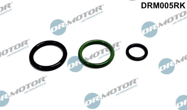 Repair Kit, unit injector DRM005RK