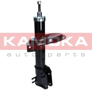 Shock Absorber 2001050