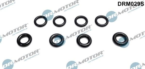 Seal Ring, injector DRM029S