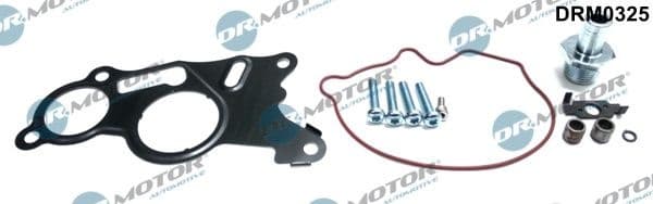 Repair Set, vacuum pump (braking system) DRM0325