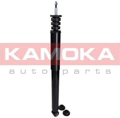 Shock absorber front 2000822