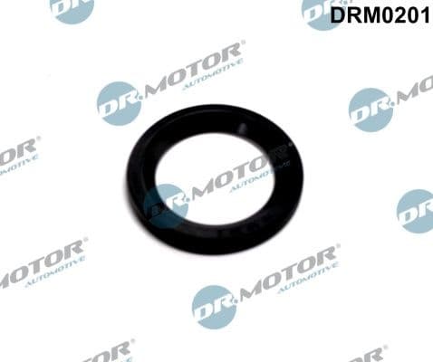 Seal Ring, injector DRM0201