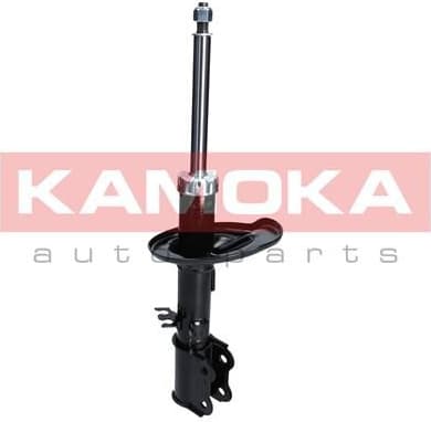 Shock Absorber 2000196