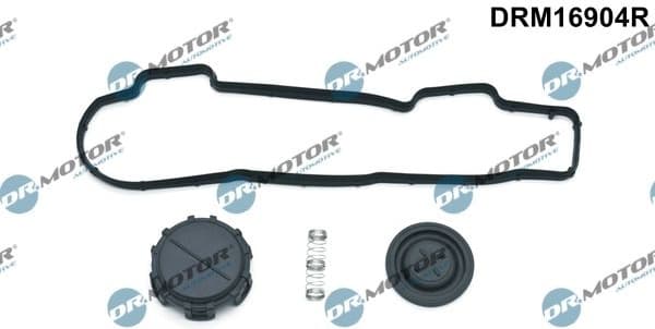 Gasket Set, cylinder head cover DRM16904R