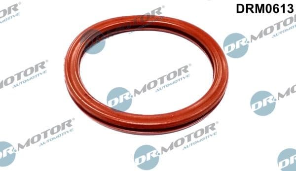 Gasket, throttle body DRM0613