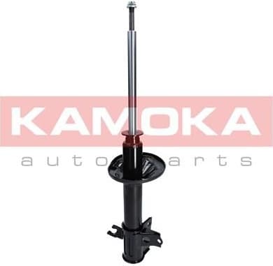 Shock Absorber 2000168
