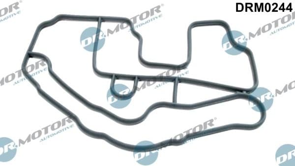 Gasket, thermostat housing DRM0244